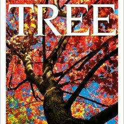 Best deal 👏 *Non-Branded DK Eyewitness Books: Tree, Discover The Fascinating World Of Trees From Tiny Seeds To Mighty Forest Giants 🎉