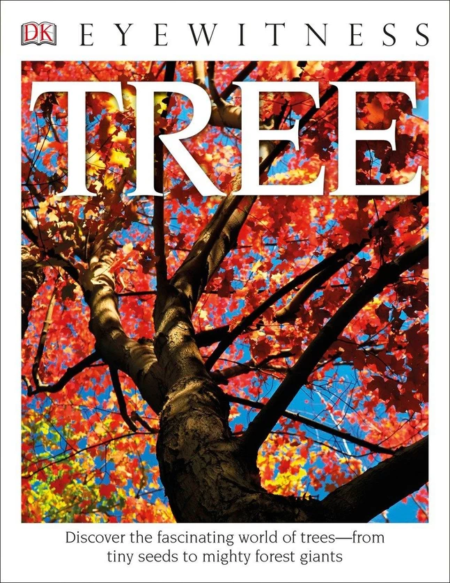 Best deal π *Non-Branded DK Eyewitness Books: Tree, Discover The Fascinating World Of Trees From Tiny Seeds To Mighty Forest Giants π 1 Best deal π *Non-Branded DK Eyewitness Books: Tree, Discover The Fascinating World Of Trees From Tiny Seeds To Mighty Forest Giants π