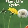 Wholesale 🤩 Delta Science Content Readers Plant Life Cycles Red Book, Pack Of 8 😍