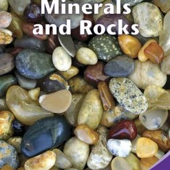 Best deal ✔️ Delta Science Content Readers Minerals, Rocks And Fossils Purple Book, Pack Of 8 👍