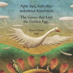 Buy 🥰 Mantra Lingua Goose Fables, English And Lithuanian Bilingual Book 😉