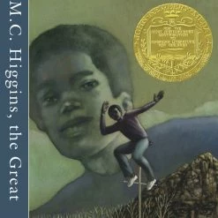Top 10 ✔️ *Non-Branded M.C. Higgins The Great By Virginia Hamilton, Grade 3 To 7, Small-Group Pack Of 6 ❤️