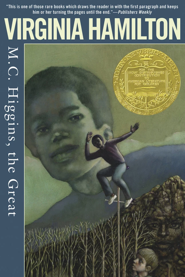 Top 10 ✔️ *Non-Branded M.C. Higgins The Great By Virginia Hamilton, Grade 3 To 7, Small-Group Pack Of 6 ❤️ 1 Top 10 ✔️ *Non-Branded M.C. Higgins The Great By Virginia Hamilton, Grade 3 To 7, Small-Group Pack Of 6 ❤️