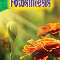 Cheapest 😉 Teacher Created Materials Life Science, Grades 2 To 3, Spanish, Set Of 10 😉 -books shop 1597874 J CD846BAC333A4120AB1DC3E199A4DBBE