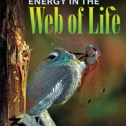 Best deal 🌟 ScienceFLEX Energy In The Web Of Life, Red Reader, Pack Of 4 😀