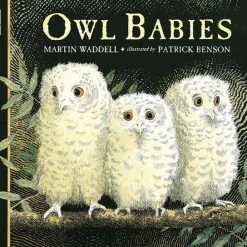 New ❤️ Achieve It! Owl Babies By Martin Waddell, Grades PreK To 2 🎁