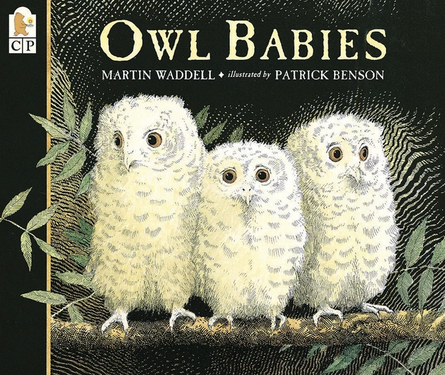 New β€οΈ Achieve It! Owl Babies By Martin Waddell, Grades PreK To 2 π 1 New β€οΈ Achieve It! Owl Babies By Martin Waddell, Grades PreK To 2 π