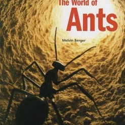 Wholesale π Childcraft Exploring Nature Big Books For Kids, Ages 4 To 8, Set Of 5 π₯ 8 Wholesale π Childcraft Exploring Nature Big Books For Kids, Ages 4 To 8, Set Of 5 π₯ -books shop 205841 B ecommfullsize