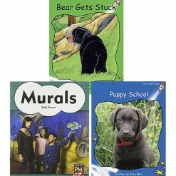 Best deal 👍 Achieve It! Multipublisher Guided Reading Level G : Variety Pack, Grades 1, Set Of 16 🎉