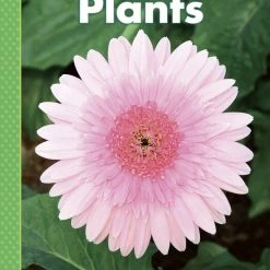 New π Delta Science Delta Education Science First Big Book, Plants π