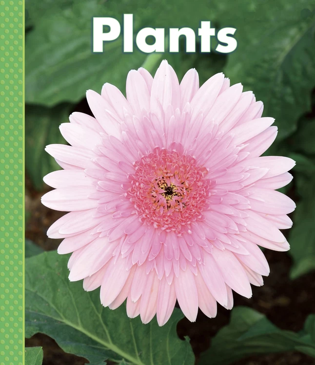 New π Delta Science Delta Education Science First Big Book, Plants π 1 New π Delta Science Delta Education Science First Big Book, Plants π