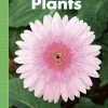 Best reviews of 👍 Delta Science Delta Education Science First Reader, Plants, Set Of 8 ✨