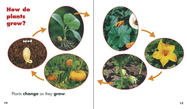 New π Delta Science Delta Education Science First Big Book, Plants π 2 New π Delta Science Delta Education Science First Big Book, Plants π - Image 2