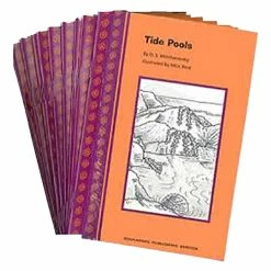 Buy 🛒 Spire Decodable Read S.P.I.R.E. Illustrated Decodable Reader Starter Set 6B, 10 Assorted Titles ⭐
