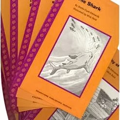 Coupon ⌛ Spire Decodable Read S.P.I.R.E. Illustrated Decodable Reader Starter Set 6A, 10 Assorted Titles 🔥