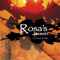 Promo 🌟 MC Intervention Making Connections Intervention, Rosa's Journey, AQUA, Pack Of 6 😀