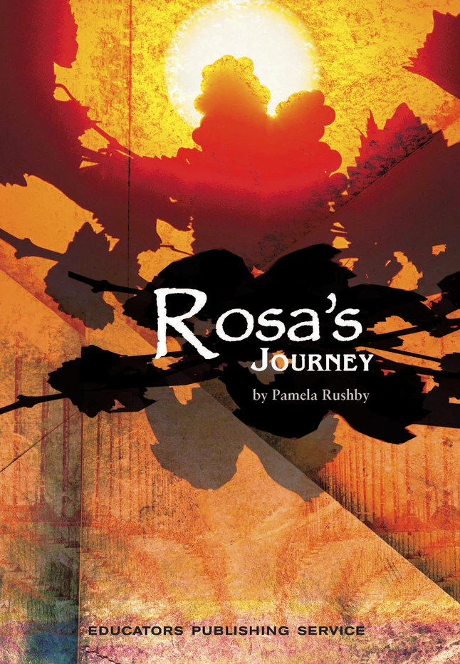 Promo π MC Intervention Making Connections Intervention, Rosa's Journey, AQUA, Pack Of 6 π 1 Promo π MC Intervention Making Connections Intervention, Rosa's Journey, AQUA, Pack Of 6 π