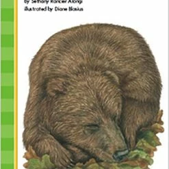 Cheapest 😍 Phonics PLUS Decodable Readers, Grizzlies, Level B, Nonfiction, Pack Of 6 👏